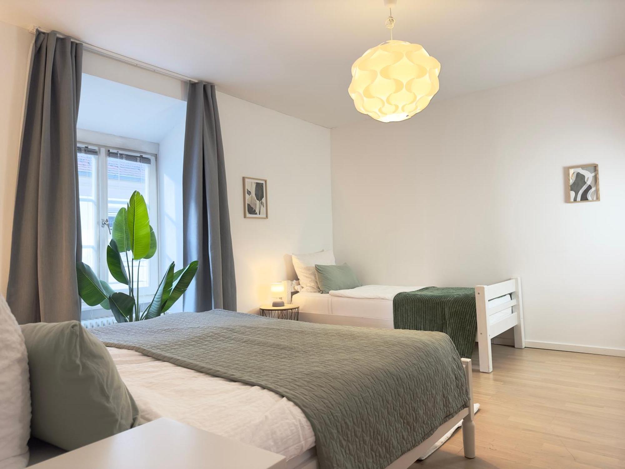 Luxury Old Town Suite - Xxl Terrasse & Xxl Penthouse Heidelberg Exteriör bild
