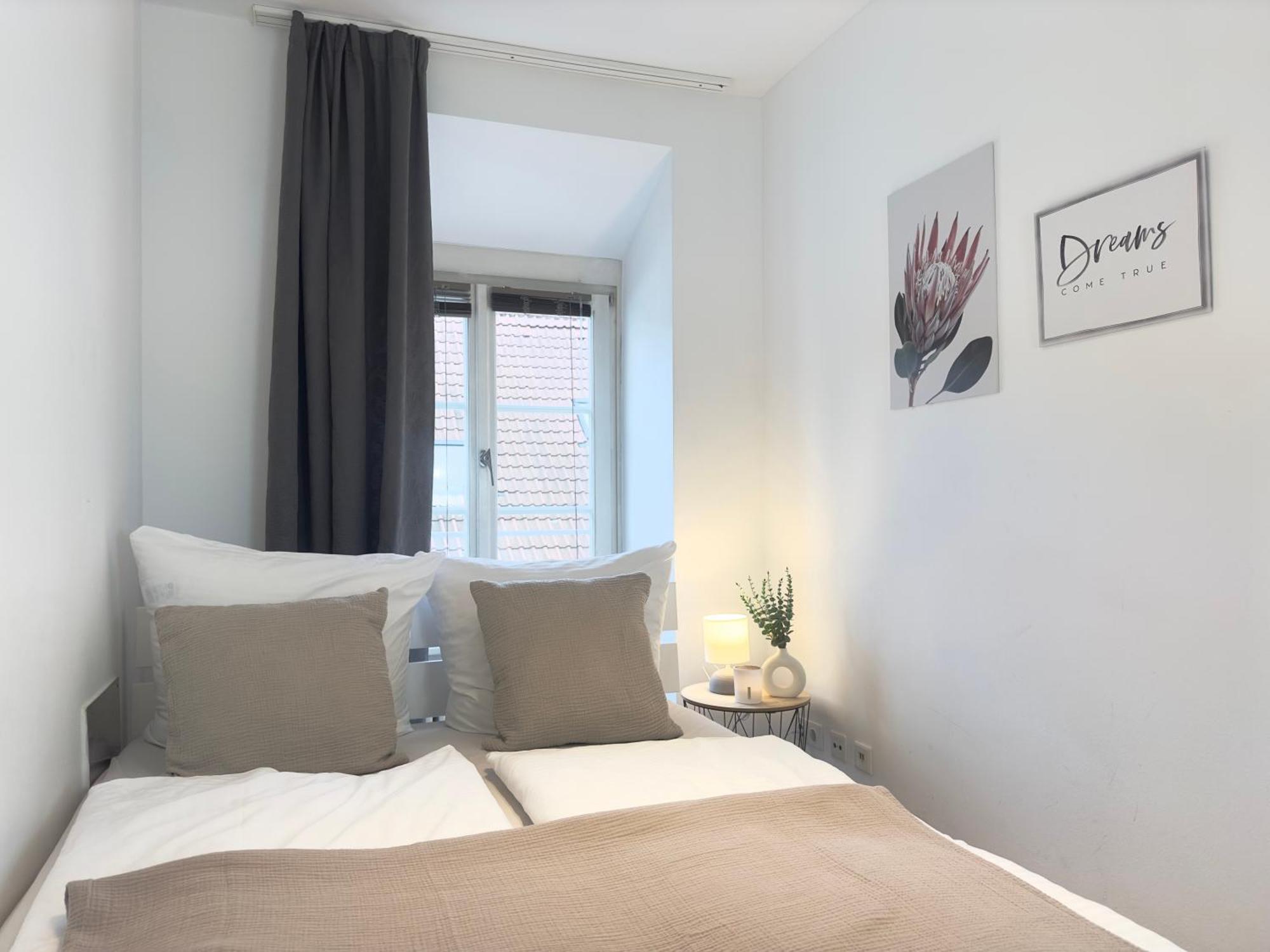 Luxury Old Town Suite - Xxl Terrasse & Xxl Penthouse Heidelberg Exteriör bild