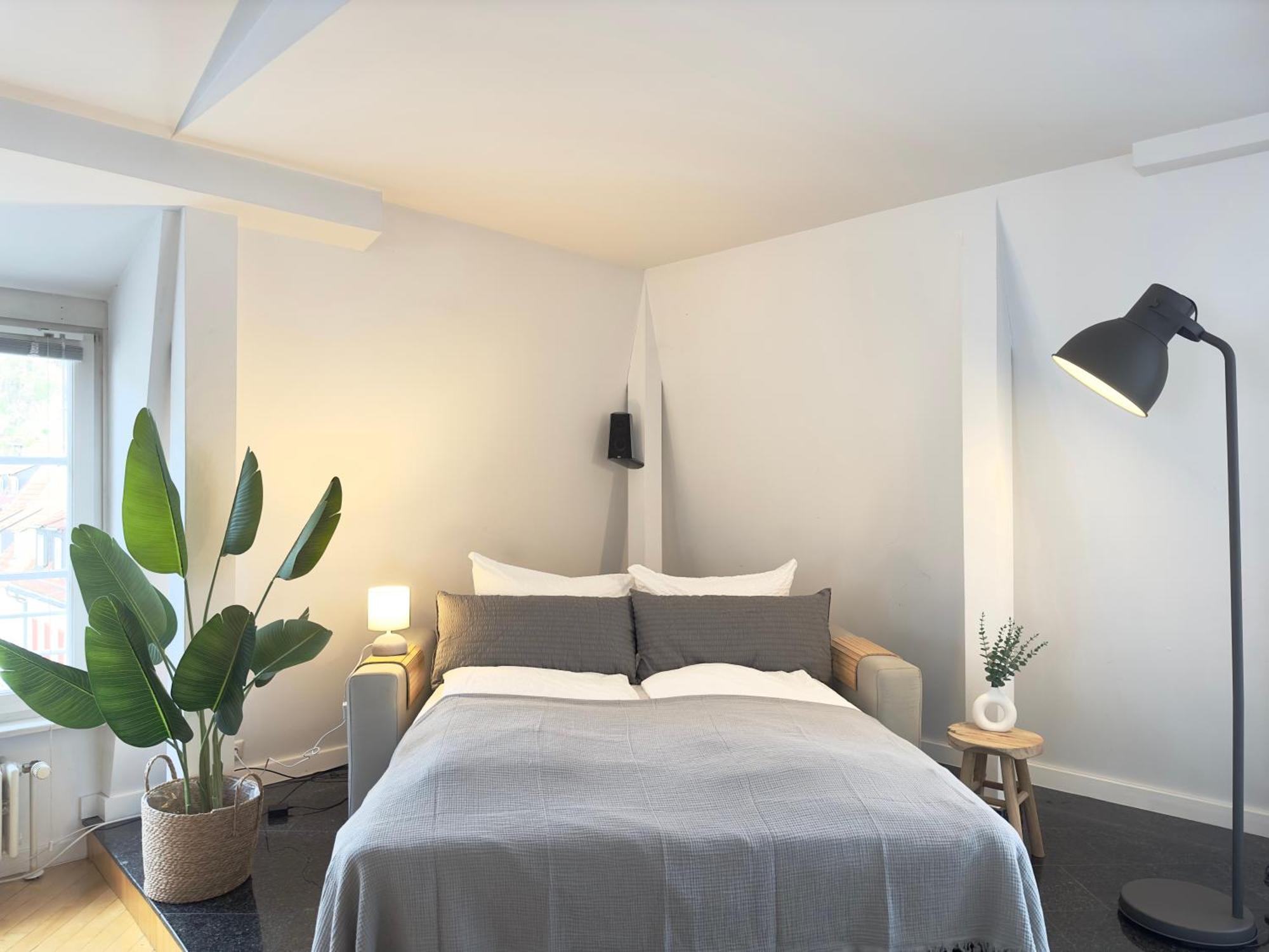 Luxury Old Town Suite - Xxl Terrasse & Xxl Penthouse Heidelberg Exteriör bild